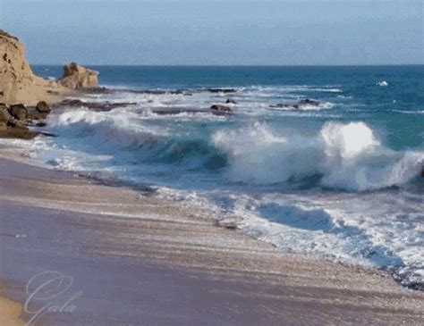 Beach nude gif - [29yo] All public beaches are nude beaches if you want it bad enough :P #gif #reddit #bigtits #flashing #beach